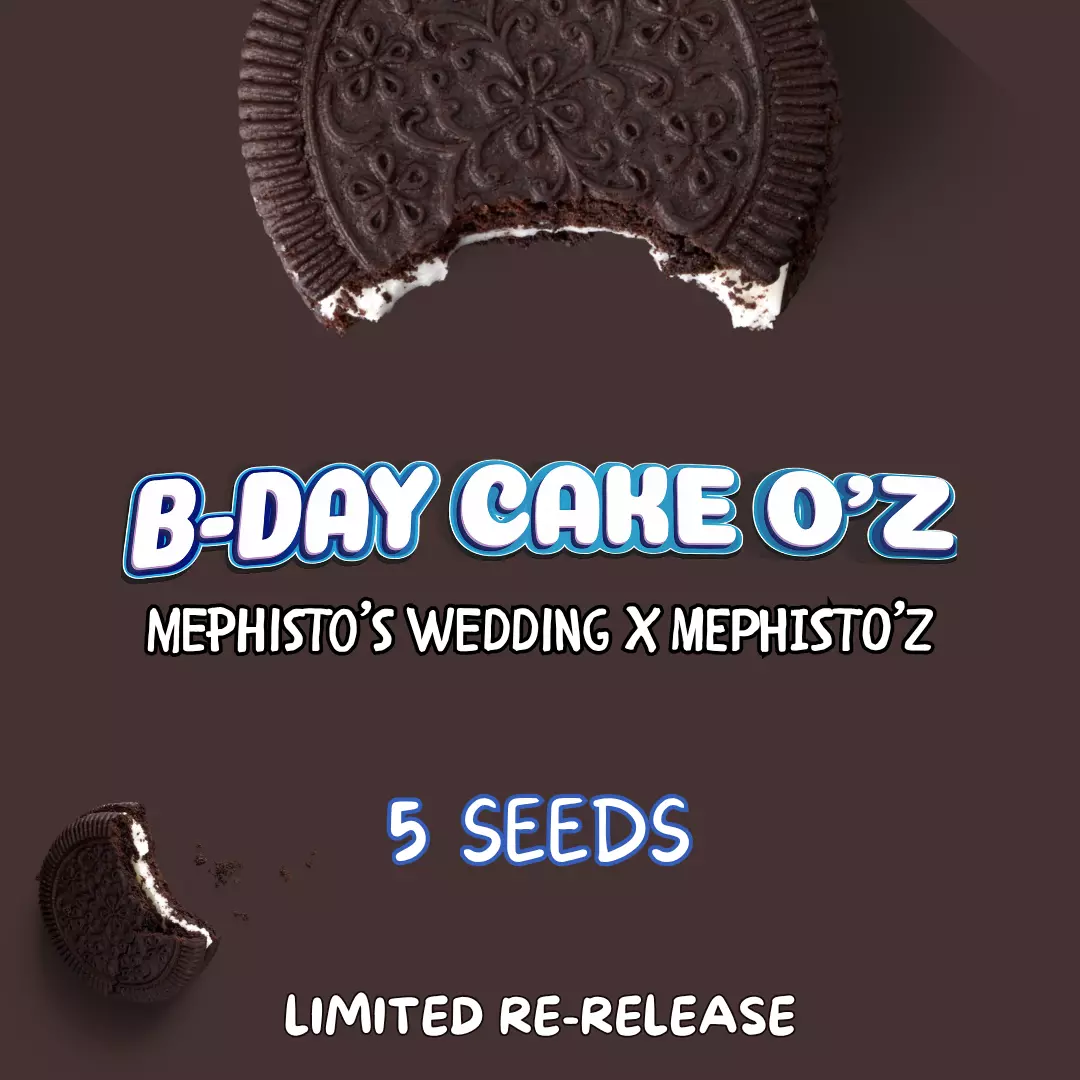 B-day Cake O'z