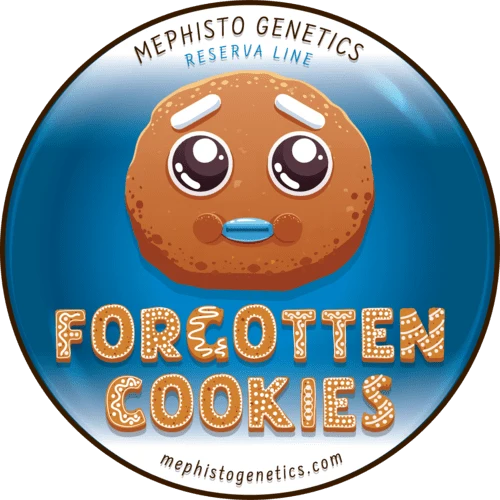 Forgotten Cookies - Image 8