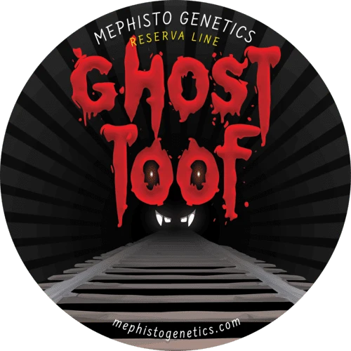 Ghost Toof - Image 8