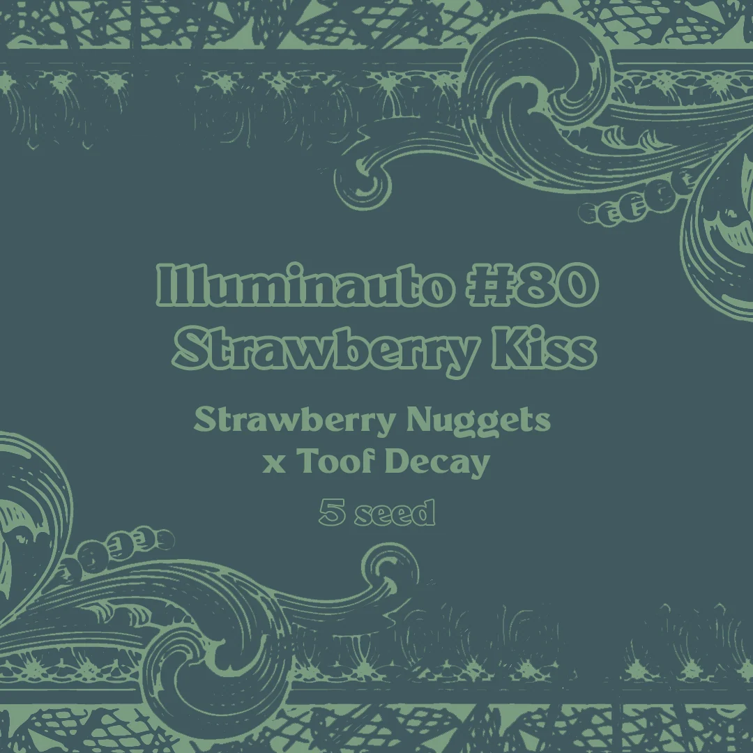 ILL#80 - Strawberry Kiss