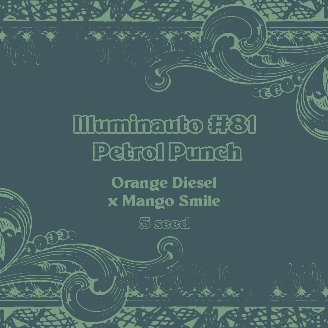 ILL#81 - Petrol Punch