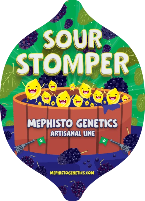 Sour Stomper - Image 6