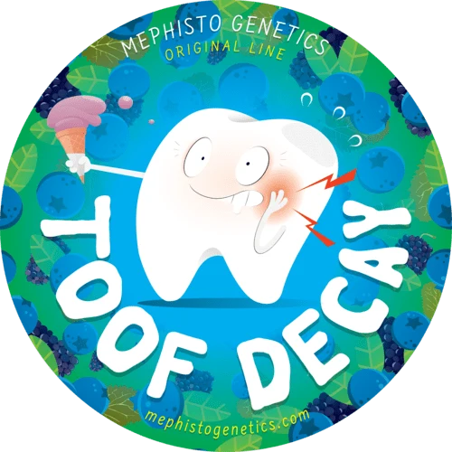Toof Decay - Image 8